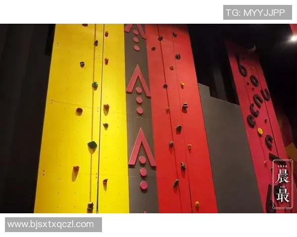 南京攀岩队战术解析与对比研究揭示团队优势与不足