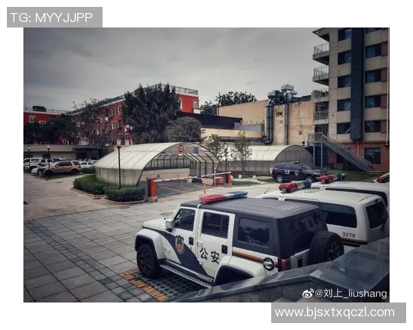 南京极限运动队中路突破战术解析与实战应用探讨