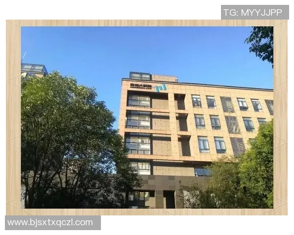 南京羽毛球队整体压制革新之路探秘与未来展望